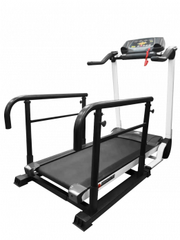 American Motion Fitness Беговая дорожка AMF В2 + поручни