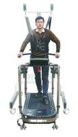American Motion Fitness Подвес передвижной AMF 2550_6